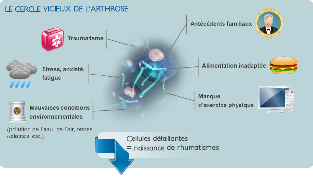 le cercle vicieux de l'arthrose